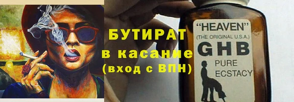 крисы Бородино