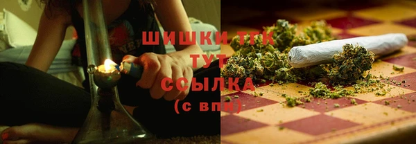 крисы Бородино