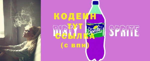 крисы Бородино
