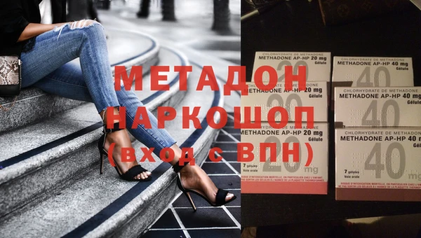 крисы Бородино