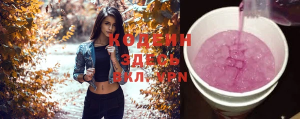 крисы Бородино