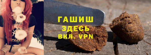 крисы Бородино